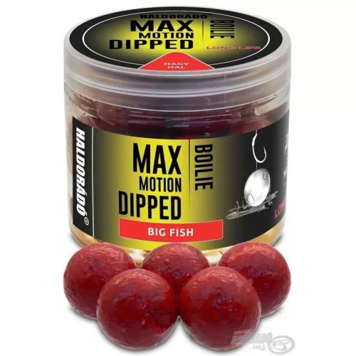HALDORÁDÓ MAX MOTION Boilie Dipped 20 mm - Nagy Hal